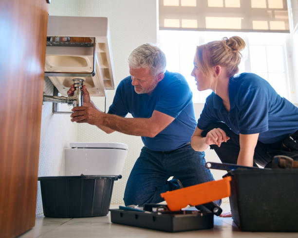 Best Affordable Plumbing Services  in Hudsonville, MI